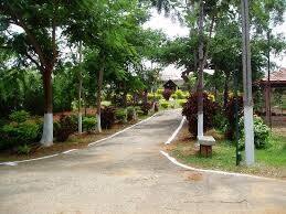 Green Vallies Resort, Chikhaldara 4